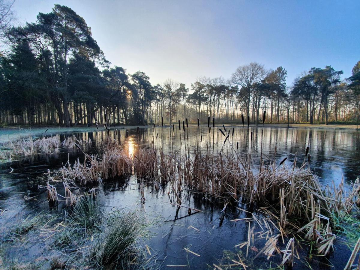 Overnachting Suuthwalda Zuidwolde  Exteriör bild
